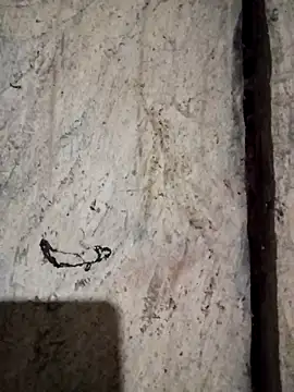 bonnie-00 online show from 6, 11, 2025