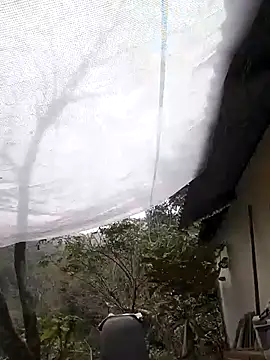 Dung x online show from 7, 2, 2026