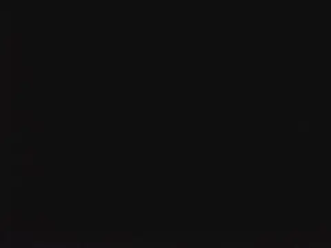 SienaWild online show from 13, 1, 2026