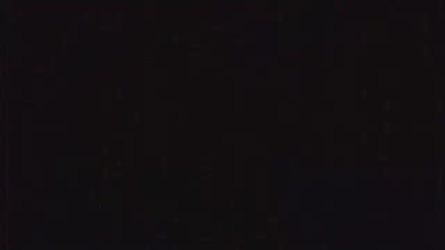 SienaWild online show from 23, 12, 2025