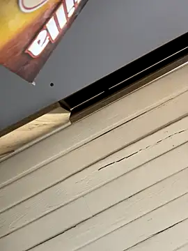 SienaWild online show from 1, 12, 2025