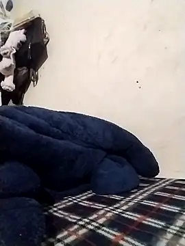 Rapunzal online show from 12, 2, 2026