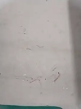 Rapunzal online show from 13, 10, 2025