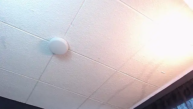 RichardMilleer online show from 16, 2, 2026