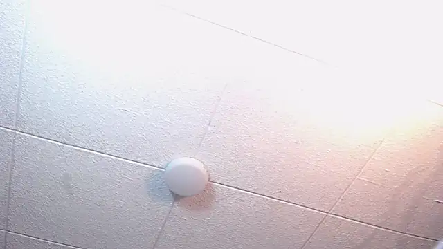 RichardMilleer online show from 24, 2, 2026