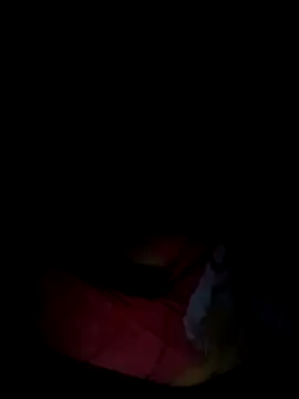 Rosabela04 online show from 12, 2, 2026