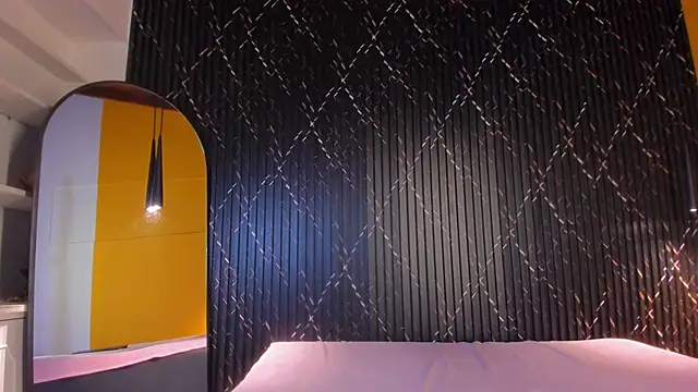 Miss Ariaa online show from 8, 11, 2025