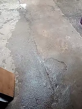 Cachorrinha2025 online show from 17, 11, 2025