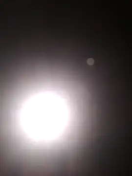 Cachorrinha2025 online show from 22, 10, 2025