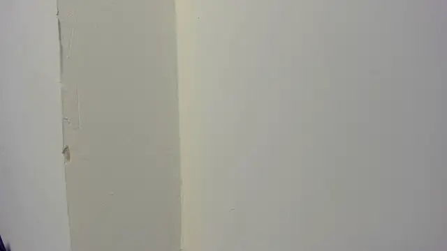 abbiecollins js online show from 28, 3, 2026