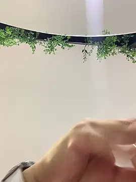 Amber Santana online show from 6, 3, 2026