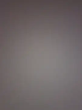 noe 30 online show from 22, 12, 2025