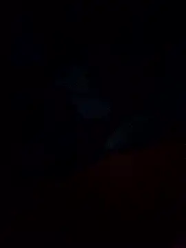 Jarektchurzewski online show from 13, 2, 2026