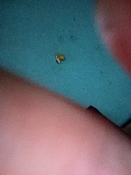 Jarektchurzewski online show from 4, 4, 2026