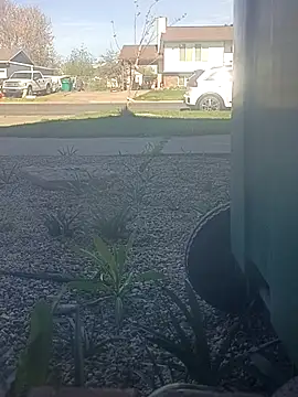 matatan0323 online show from 29, 3, 2026