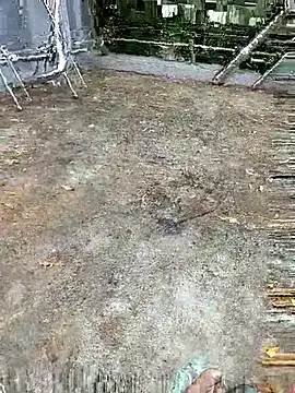 Aaisha-16 online show from 29, 9, 2025