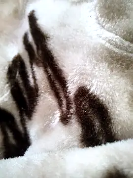 bold guy 1234 online show from 17, 12, 2025