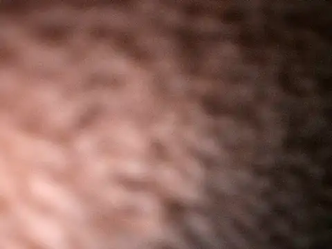 Milenvs online show from 20, 10, 2025