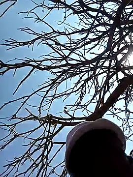 Teeman1111 online show from 21, 9, 2025