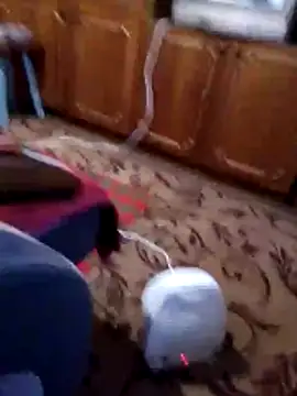 Nikusya-51 online show from 22, 12, 2025