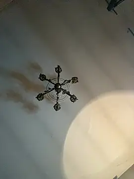 STRIPsegale online show from 9, 3, 2026