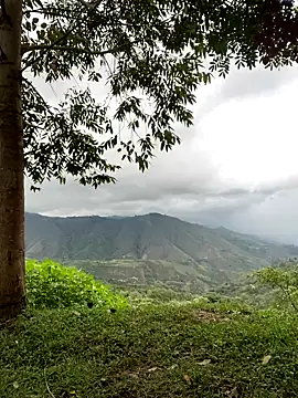 sky-wolves online show from 22, 11, 2025