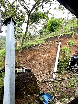 sky-wolves online show from 5, 11, 2025