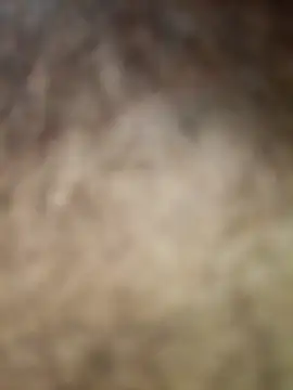 rashid-khan786 online show from 22, 4, 2026