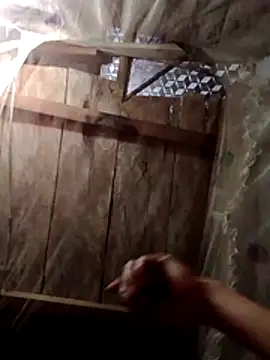 donna-bae online show from 22, 2, 2026