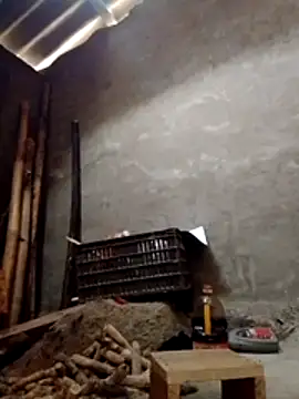 donna-bae online show from 4, 2, 2026