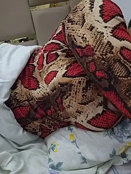 Feel the Fun online show from 28, 2, 2026