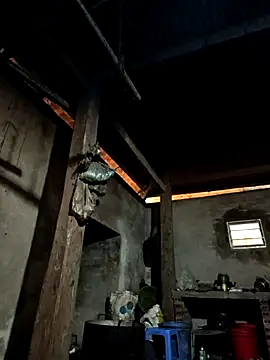 tulipsexy online show from 7, 1, 2026