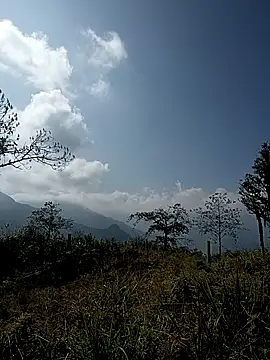 tulipsexy online show from 17, 1, 2026