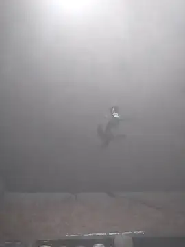 Snapshot of Hott_cutgirl chatting on 15, 11, 2025 Hott cutgirl online show from 15, 11, 2025