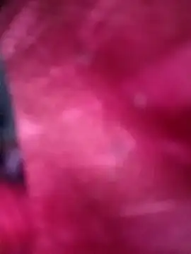 Jeya thakur online show from 21, 12, 2025