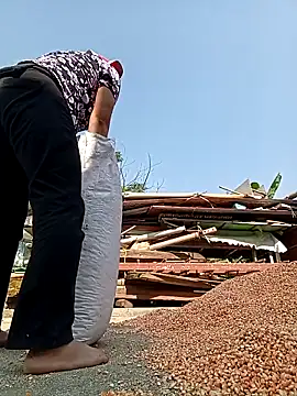 callistra online show from 27, 11, 2025