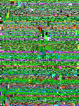 Snapshot of Alan18cmsafado chatting on 22, 9, 2025 Alan18cmsafado online show from 22, 9, 2025