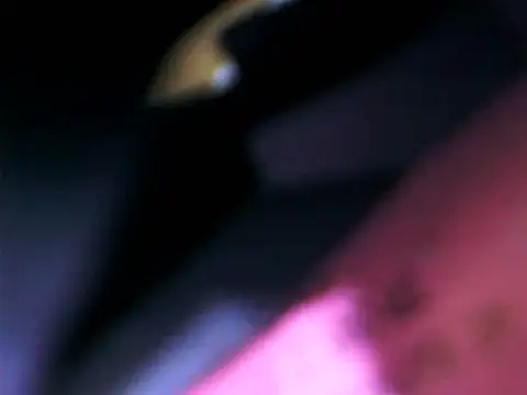 Snapshot of DailyRoadma chatting on 15, 2, 2026 DailyRoadma online show from 15, 2, 2026