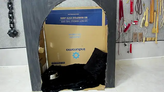 BDSM MEDUZA online show from 5, 2, 2026