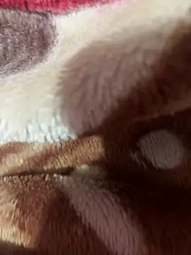 satisfyursoul online show from 26, 11, 2025