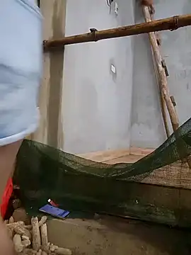 phuongxinhxan online show from 22, 3, 2026