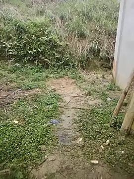 phuongxinhxan online show from 24, 3, 2026