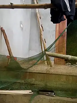 phuongxinhxan online show from 21, 3, 2026