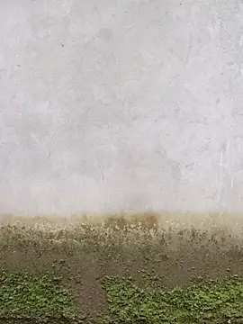 phuongxinhxan online show from 18, 6, 2026