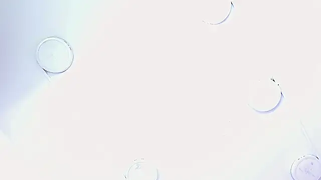  isa king  online show from 13, 11, 2025