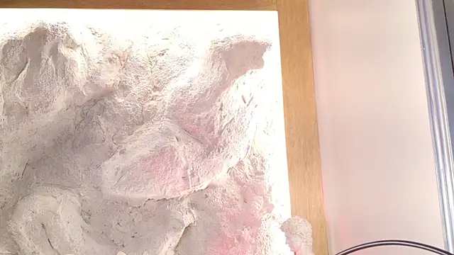 Stellaciel  online show from 28, 2, 2026