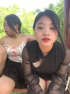 taotao 19 online show from 30, 9, 2025
