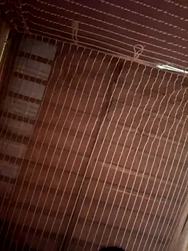 Tramy xx online show from 21, 10, 2025