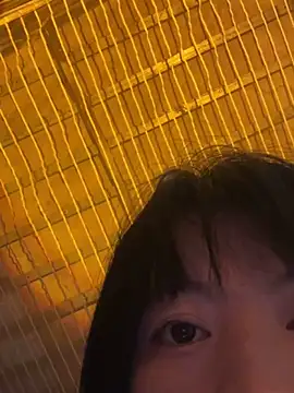 Tramy xx online show from 26, 10, 2025