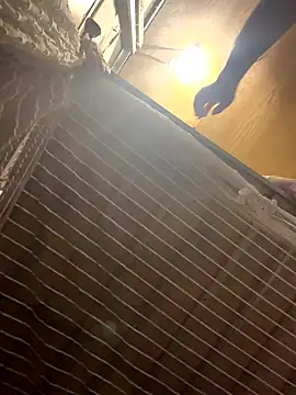 Tramy xx online show from 31, 10, 2025